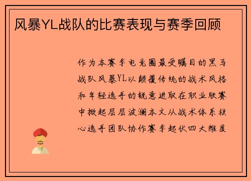 风暴YL战队的比赛表现与赛季回顾